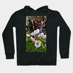 Little blossoms Hoodie